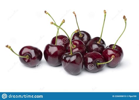 Juicy Red Cherries In The Tree Stock Image 141269731