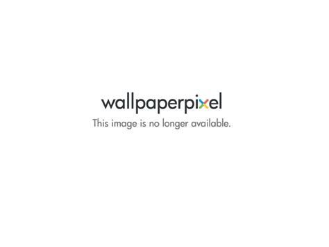 49 8k Wallpaper 3840x2160 Wallpapersafari