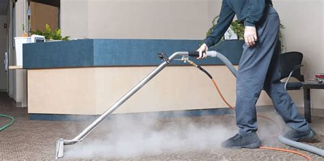Organic Steam Carpet Cleaning Personal Castles