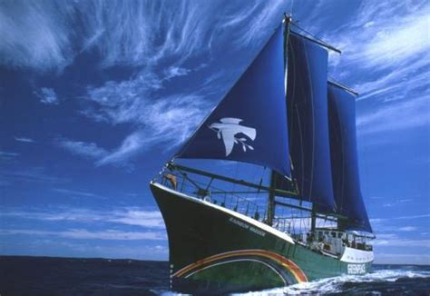 On This Day The Sinking Of The Rainbow Warrior Blue And