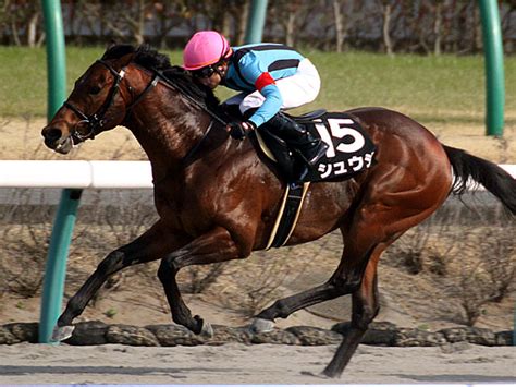 Njpw free match 「new japan cup 2019」決勝戦 オカダ・カズチカ vs sanada (2019年3月24日). スプリングステークス | 中山競馬場 | 2019年3月17日の競馬日記 ...