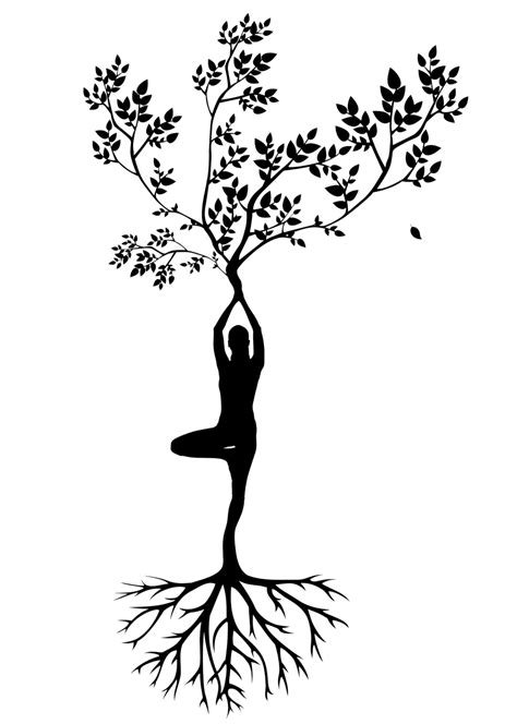Fotos Gratis Silueta Mujer árbol Meditación Armonía Woman Tree