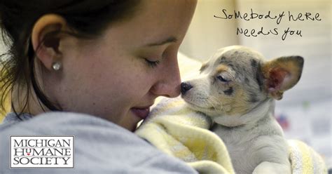 About pet network humane society. Animal Shelters - Adopt A Pet - Michigan Humane Society