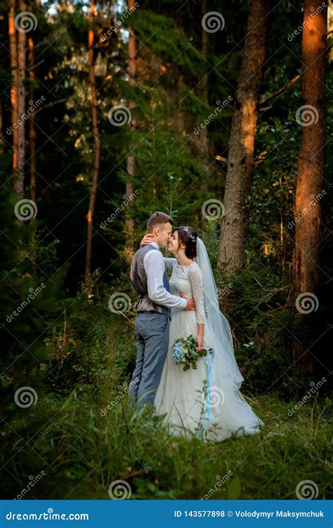 Beautiful Newlyweds Couple Walking In The Forest Honeymooners Stock