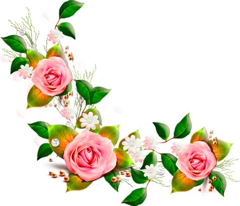 Download High Quality Transparent Flowers Peach Transparent Png Images
