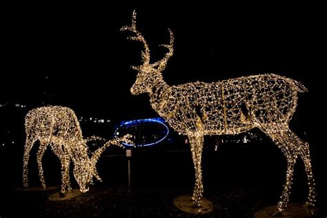 Giant Led Reindeer For Outdoor Life Size Christmas Decorative Deer For