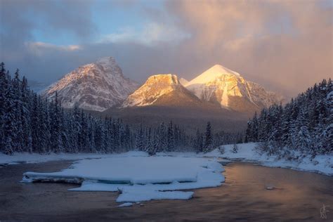 Morning Light Bow River Morants Curve Banff Alberta By Andrei