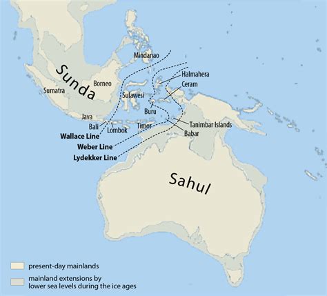 Map Of Sunda And Sahul 巽他古陸 維基百科，自由的百科全書 Australia Continent Sea