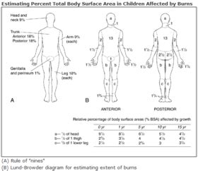 The depth of the burn largely determines the overall severity of burn injury — a combination of the burn mechanism, burn depth, extent, and anatomic location determine the overall. Lund and Browder chart - Wikipedia