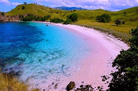 Welcome To Indonesia Blog Pink Beach Komodo Island