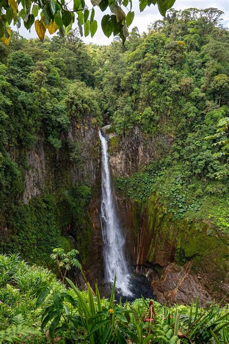 Catarata Del Toro Costa Ricas Most Stunning Waterfall And Best