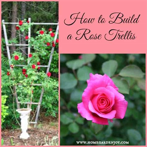 24 best diy garden trellis ideas & designs: How to Build a Climbing Rose Trellis - Home Garden Joy