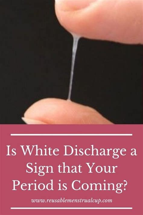 Is White Discharge A Sign That My Period Is Coming You Can Find Out