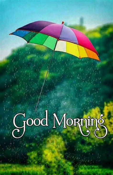 Rainy Morning Quotes Love Good Morning Quotes Good Morning Happy