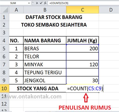 Rumus Count Dalam Excel