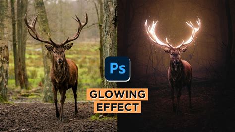 Easy Glow Effect In Photoshop Glowing Deer Photoshop Tutorial Ns