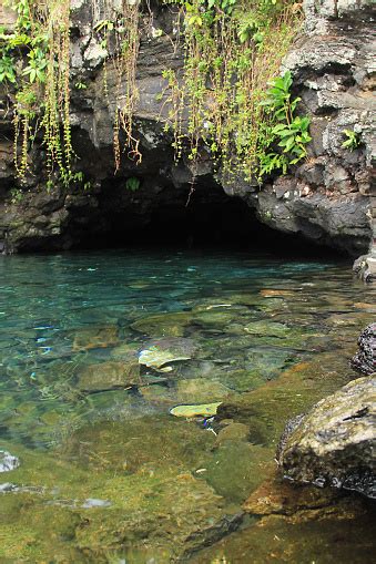 Piula Cave Pool Is A Natural Freshwater Pool By The Sea Beneath The