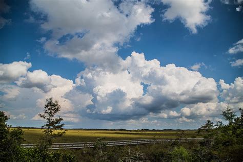 Big Sky Everglades Photograph By Darrell Hutto