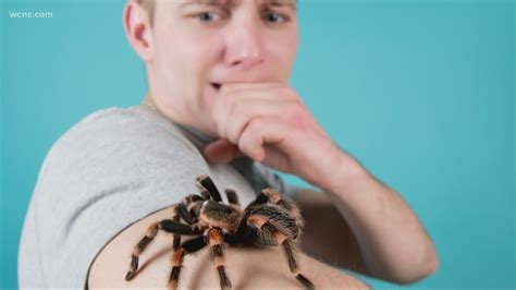 Men Are More Afraid Of Bugs Than Women Study Finds