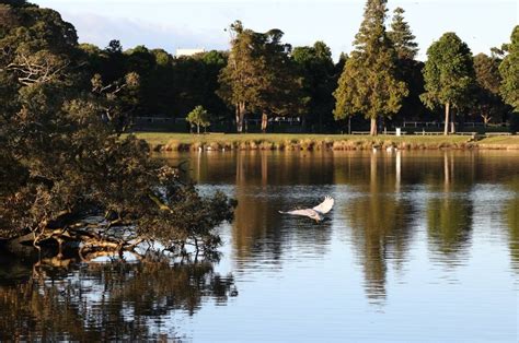 Ten Things To See And Do In Centennial Park — Incidentally Sydney