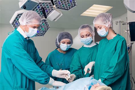 Custom Essay | amazonia.fiocruz.br