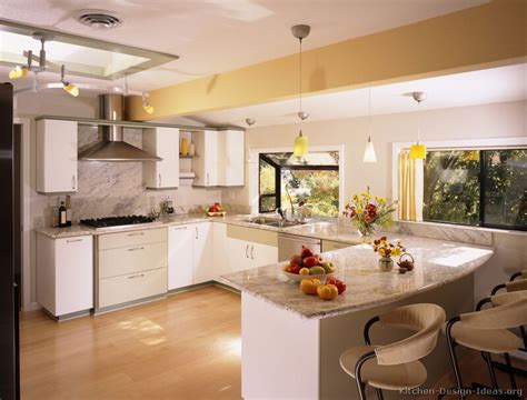 Foxy, alluring and cool are just some of the ways to describe these modern spaces, which may be neutral, but are anything but basic. Pictures of Kitchens - Modern - White Kitchen Cabinets