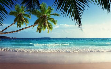 Tropical Beach Landscape Wallpapers Top Free Tropical