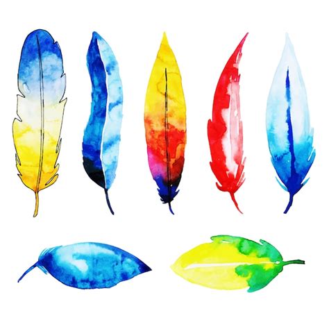 Premium Vector Beautiful Watercolor Feathers Collection