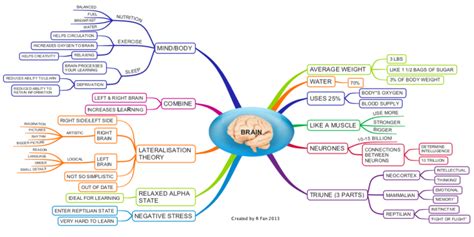 Facts About The Human Brain Imindmap Mind Map Template Biggerplate