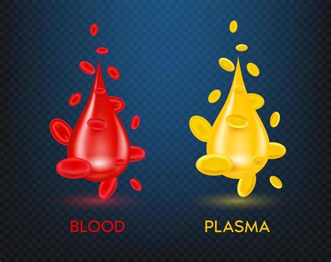 Medical Science Structure Concept Of Red Blood And Yellow Plasma Blood