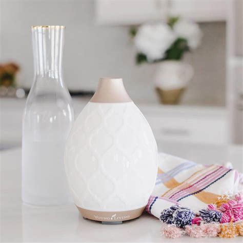 Unboxing young living essential oils' premium starter kit with desert mist diffuser. Top 5 Questions About The Desert Mist Diffuser