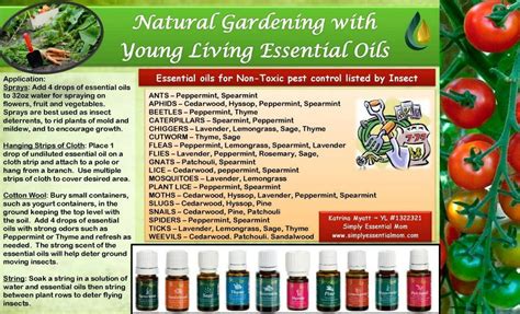 It's the beginner's trio, and it comes with three standard scents, lavender, lemon, and peppermint. Young Living Essential Oils Garden Pest Control | Young ...