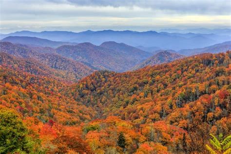 Top 5 Places To See Fall Colors In The Smoky Mountains