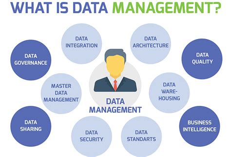 Describe The Processes Used In Developing And Managing Data Warehouses