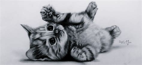 Lets Draw: Cute Kitten (Baby-cat) ♥ - YouTube | Gatitos ... Once you have drawn the kitten face below, try adding your own styles to the kitten by changing the design of the fur, or altering the kitten's expression!