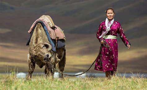 The Women Who Ruled The Mongol Empire Utama