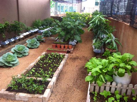 Pagar untuk melindungi kebun dan kolam di dekat rumah. (22 Gambar) Seperti Taman Hijau, Puan Lisa Jadikan Ruang ...
