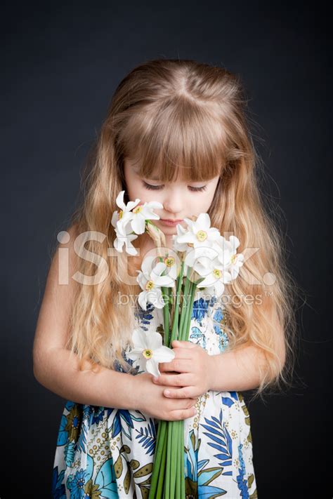 Little Girl Holding Flower Stock Photo Royalty Free Freeimages