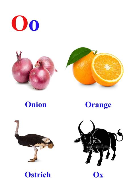 Objects Starting With Letter O