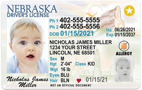 Nebraska Kid Driver License For Children Under 12 1 Cute Pooch