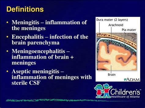 Ppt Meningitis And Encephalitis Powerpoint Presentation Free