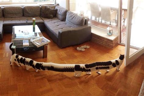 20 Terrifying Panoramic Photo Fails That Are Actually Hilarious Page 19 Enthralling