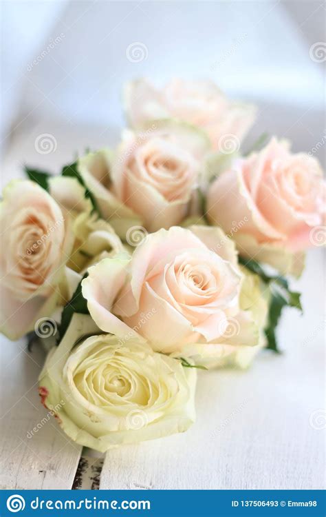 Bouquet Of Pale Pink Roses Stock Image Image Of Field 137506493