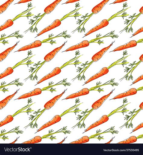 Seamless Pattern With Carrots On White Background Vector Image