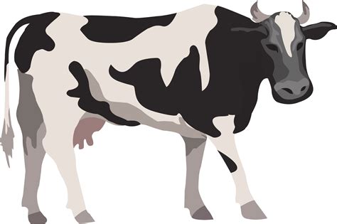 Cow Pattern Svg Cow Print Svg Animal Print  Png Dxf Etsy Images