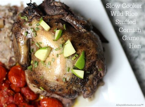 Add this game to your web page. AD: Slow Cooker Wild Rice Stuffed Cornish Game Hen Recipe