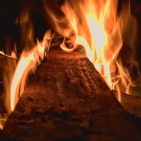 1920x1080px 1080p Free Download Fire Bonfire Flames Night Hd