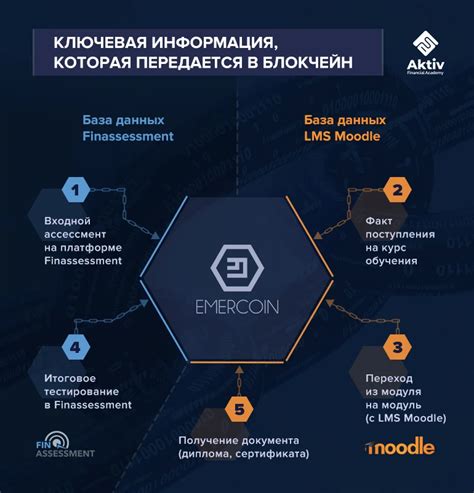 Блокчейн может изменить рынки образования и рекрутмента. И вот как | RB.RU