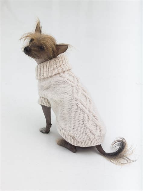 If you have a large dog, then you need to measure the size to the fullest to fit in. 10 Beautiful Fall Dog Sweater Knitting Patterns | Handy ...