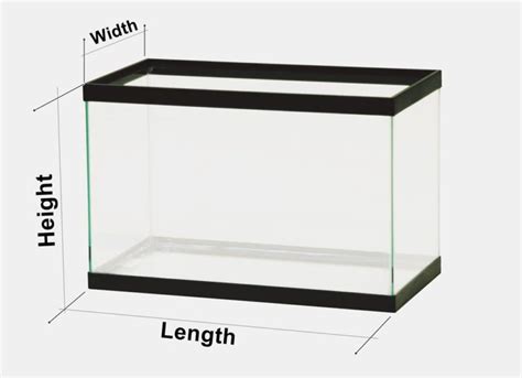 How Large Fish Tank Sizes Do You Need Aquarium Base